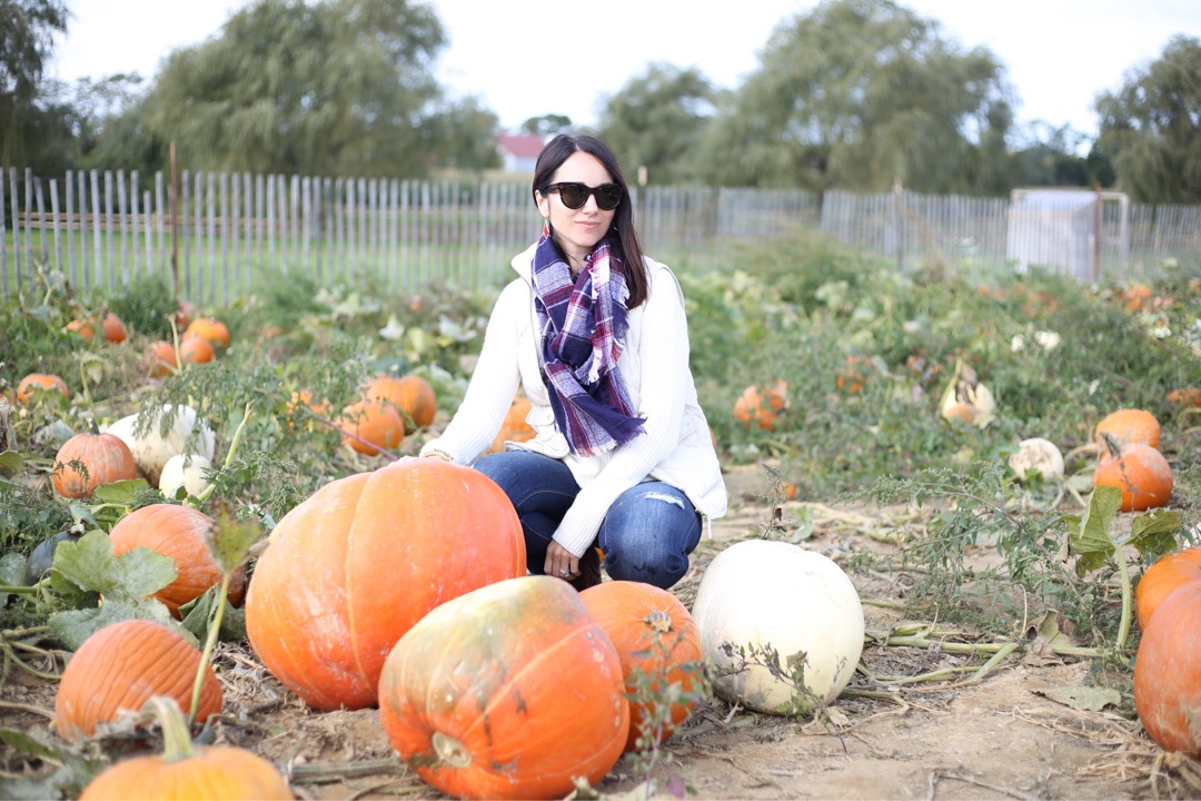 fall outfit vest, sweater and scarf