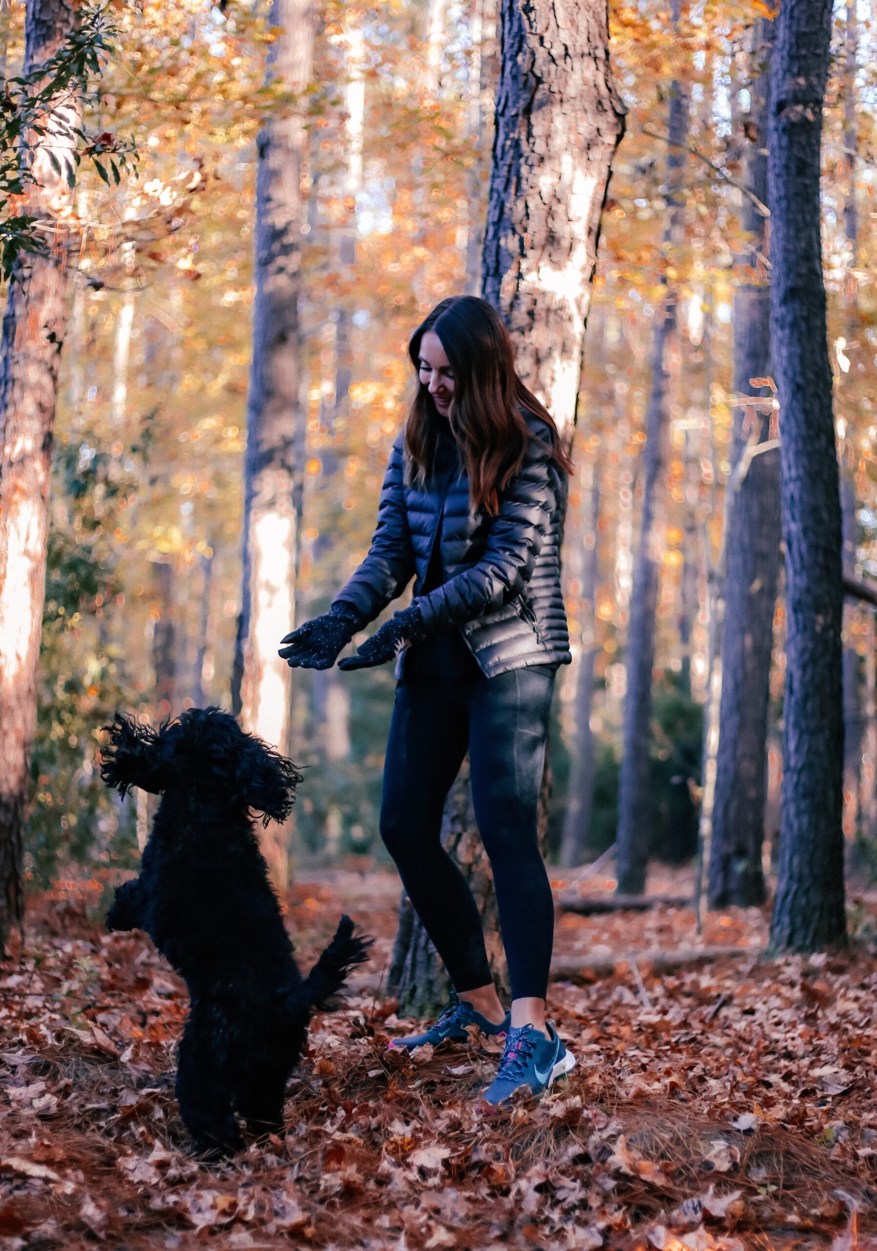 patagonia sweater down jacket